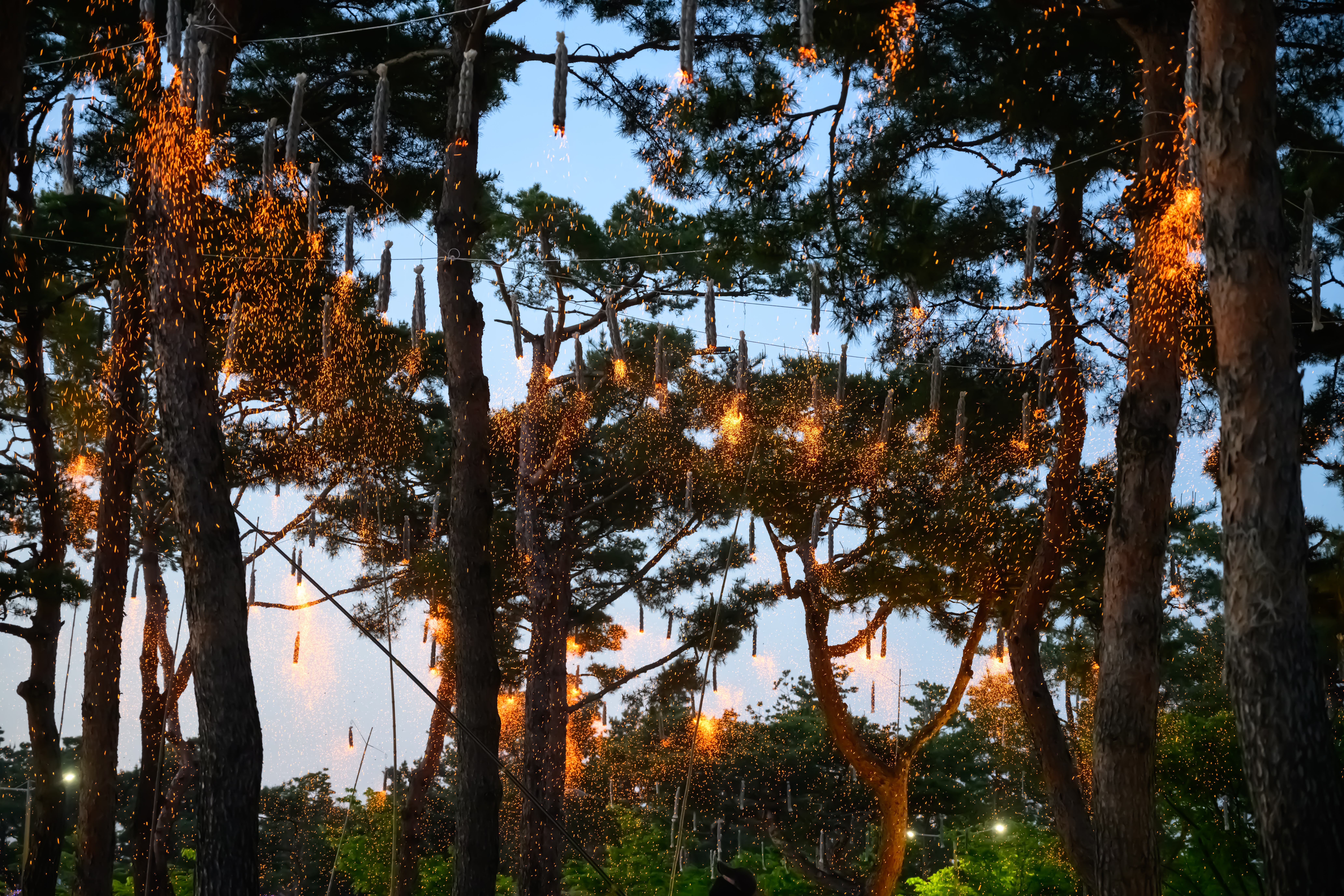 2025 축제 운영사진 2