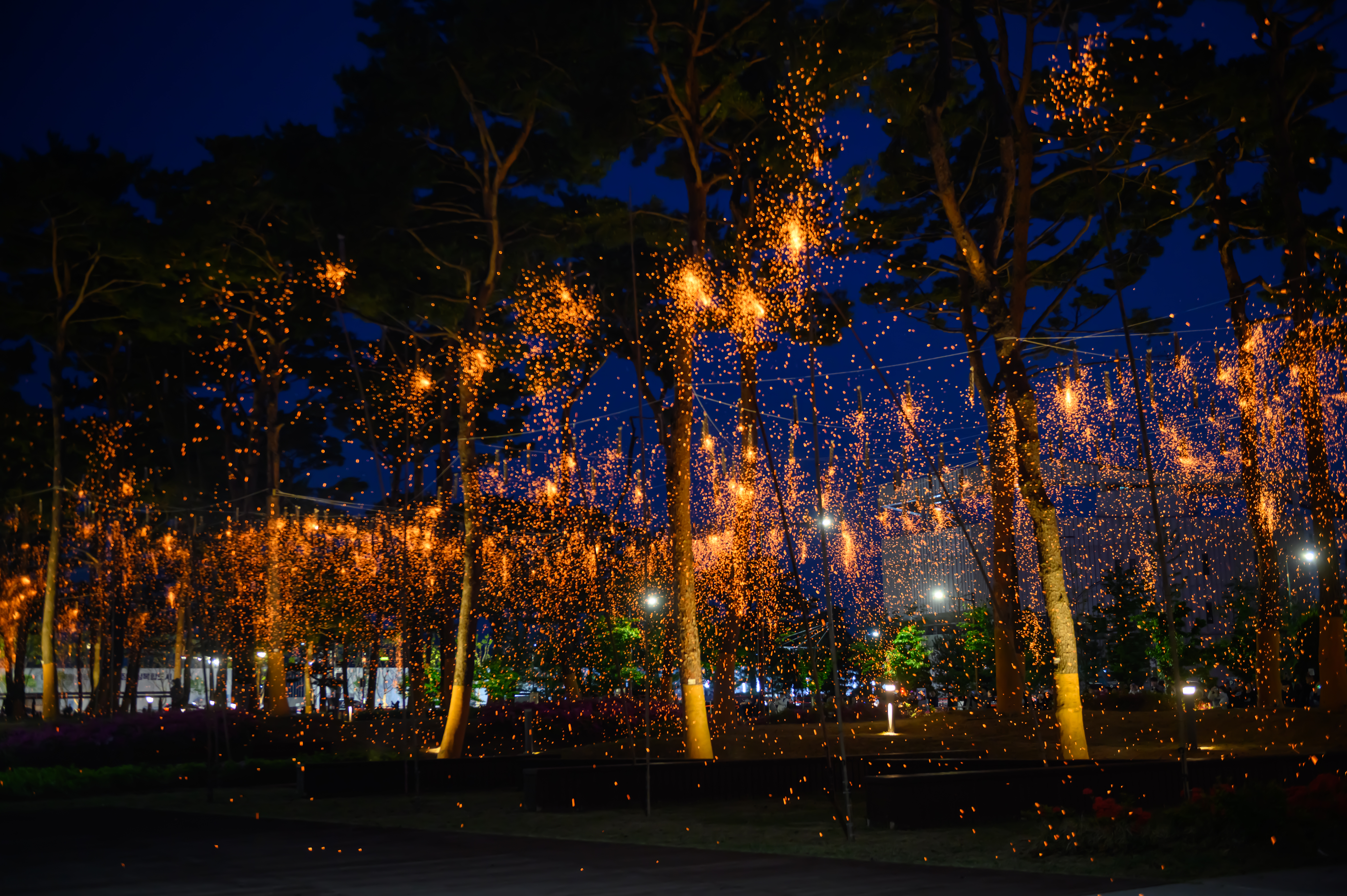 2025 축제 운영사진 4